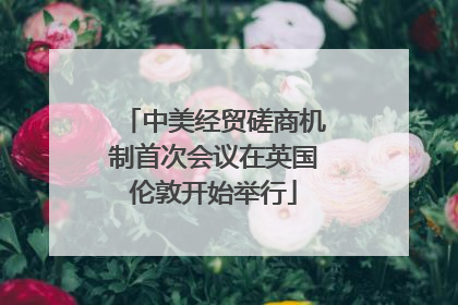 中美经贸磋商机制首次会议在英国伦敦开始举行