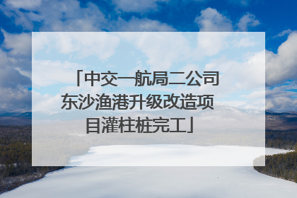 中交一航局二公司东沙渔港升级改造项目灌柱桩完工
