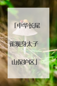 中华长尾雀现身太子山保护区