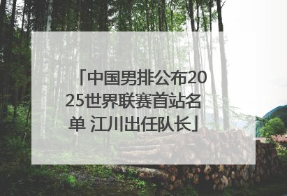 中国男排公布2025世界联赛首站名单 江川出任队长