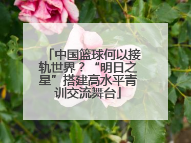 中国篮球何以接轨世界？“明日之星”搭建高水平青训交流舞台