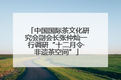 中国国际茶文化研究会副会长张仲灿一行调研“十二月令·非遗茶空间”