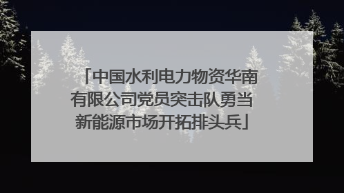 中国水利电力物资华南有限公司党员突击队勇当新能源市场开拓排头兵