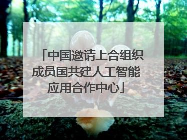 中国邀请上合组织成员国共建人工智能应用合作中心