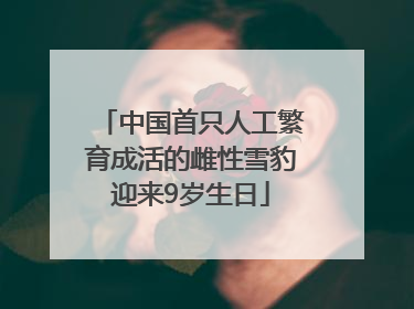 中国首只人工繁育成活的雌性雪豹迎来9岁生日