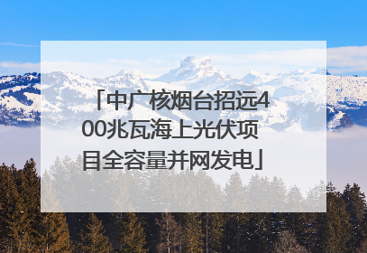 中广核烟台招远400兆瓦海上光伏项目全容量并网发电