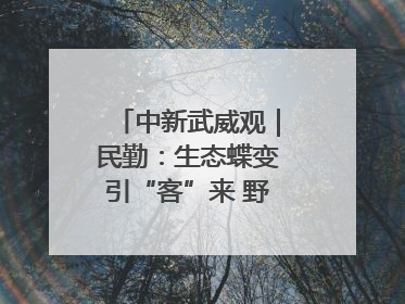 中新武威观｜民勤：生态蝶变引“客”来 野生动物乐逍遥