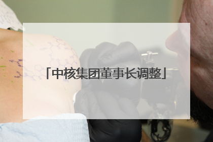 中核集团董事长调整