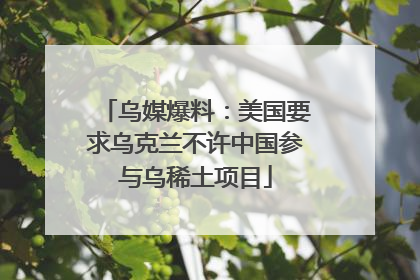 乌媒爆料：美国要求乌克兰不许中国参与乌稀土项目