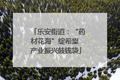 乐安街道：“药材花海”绽希望 产业振兴鼓钱袋