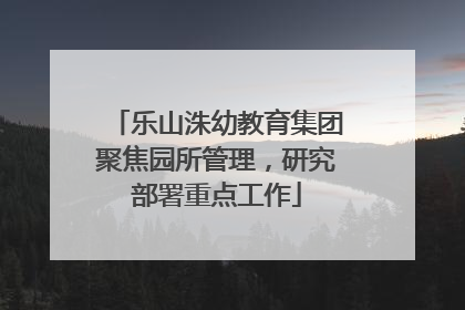 乐山洙幼教育集团聚焦园所管理，研究部署重点工作