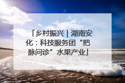 乡村振兴｜湖南安化：科技服务团“把脉问诊”水果产业
