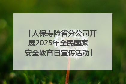 人保寿险省分公司开展2025年全民国家安全教育日宣传活动