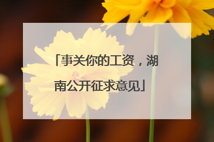 事关你的工资，湖南公开征求意见