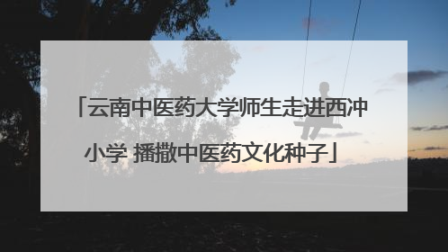 云南中医药大学师生走进西冲小学 播撒中医药文化种子