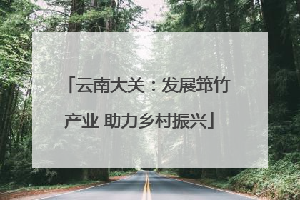 云南大关：发展筇竹产业 助力乡村振兴