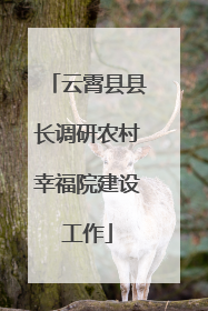 云霄县县长调研农村幸福院建设工作
