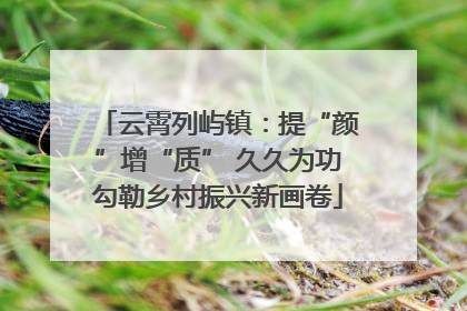 云霄列屿镇：提“颜”增“质” 久久为功勾勒乡村振兴新画卷