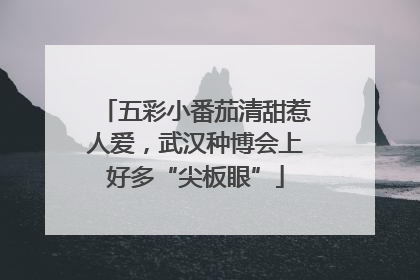 五彩小番茄清甜惹人爱，武汉种博会上好多“尖板眼”