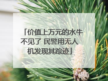 价值上万元的水牛不见了 民警用无人机发现其踪迹