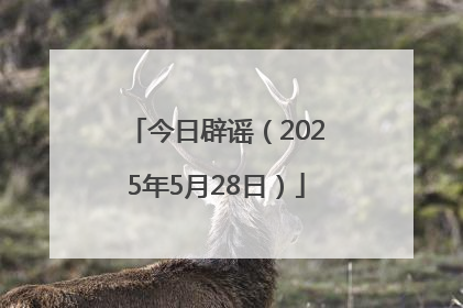今日辟谣（2025年5月28日）