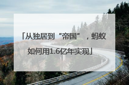从独居到“帝国”，蚂蚁如何用1.6亿年实现