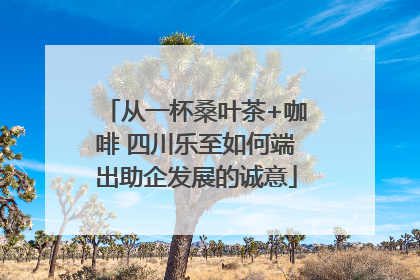 从一杯桑叶茶+咖啡 四川乐至如何端出助企发展的诚意