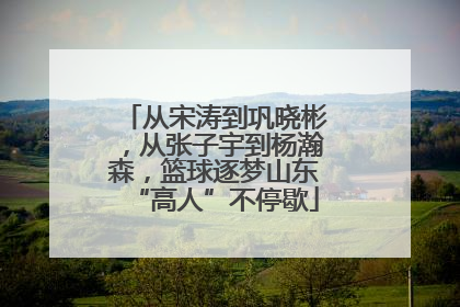 从宋涛到巩晓彬，从张子宇到杨瀚森，篮球逐梦山东“高人”不停歇