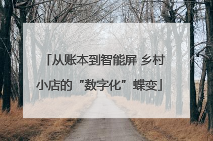 从账本到智能屏 乡村小店的“数字化”蝶变