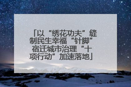 以“绣花功夫”缝制民生幸福“针脚” 宿迁城市治理“十项行动”加速落地