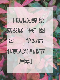 以瓜为媒 绘就发展“兴”图景——第37届北京大兴西瓜节启幕