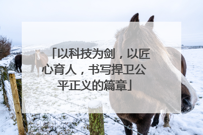 以科技为剑，以匠心育人，书写捍卫公平正义的篇章