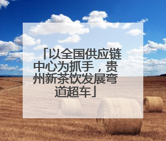 以全国供应链中心为抓手，贵州新茶饮发展弯道超车