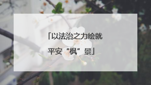 以法治之力绘就平安“枫”景