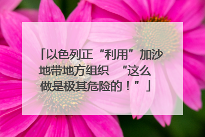 以色列正“利用”加沙地带地方组织  “这么做是极其危险的！”