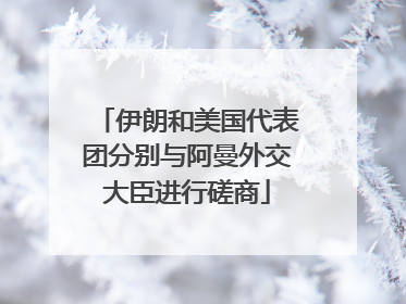 伊朗和美国代表团分别与阿曼外交大臣进行磋商