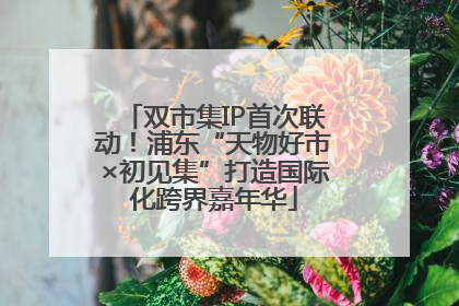 双市集IP首次联动！浦东“天物好市×初见集”打造国际化跨界嘉年华