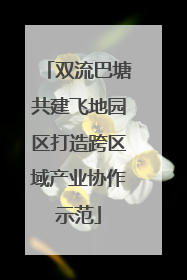 双流巴塘共建飞地园区打造跨区域产业协作示范