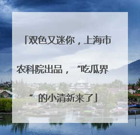 双色又迷你，上海市农科院出品，“吃瓜界”的小清新来了