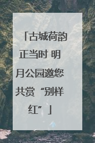 古城荷韵正当时 明月公园邀您共赏“别样红”
