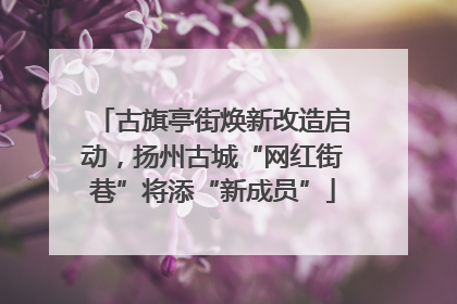 古旗亭街焕新改造启动，扬州古城“网红街巷”将添“新成员”