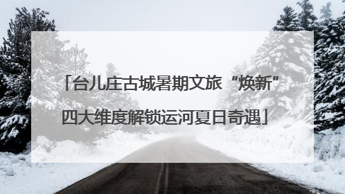 台儿庄古城暑期文旅“焕新” 四大维度解锁运河夏日奇遇