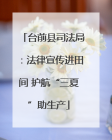 台前县司法局：法律宣传进田间 护航“三夏”助生产