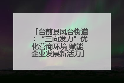 台前县凤台街道：“三向发力”优化营商环境 赋能企业发展新活力