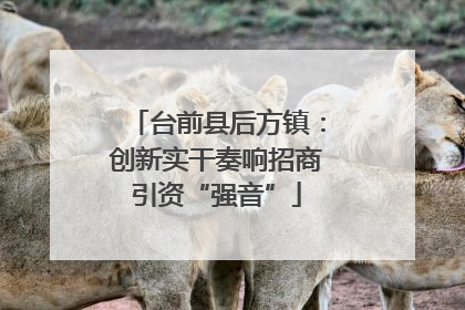 台前县后方镇：创新实干奏响招商引资“强音”