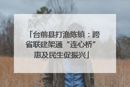 台前县打渔陈镇：跨省联建架通“连心桥” 惠及民生促振兴