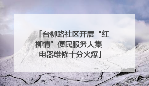 台柳路社区开展“红柳情”便民服务大集 电器维修十分火爆