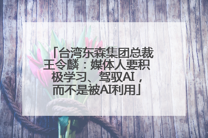 台湾东森集团总裁王令麟：媒体人要积极学习、驾驭AI，而不是被AI利用