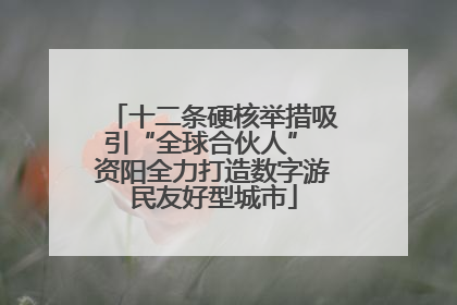 十二条硬核举措吸引“全球合伙人” 资阳全力打造数字游民友好型城市