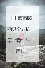 十堰市郧西县全力抗旱“稳”生产